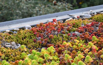 the cost of Pen Y Fan green roof installation